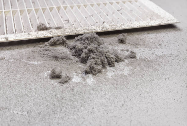 Best Best Air Duct Cleaning Company  in Westgate, FL