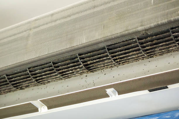 Best Professional Duct Cleaning Services  in Westgate, FL