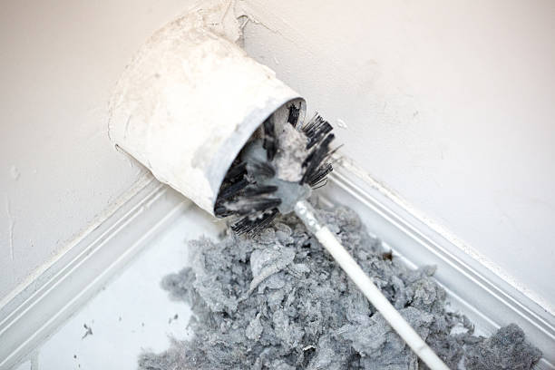 Best Residential Air Duct Cleaning  in Westgate, FL